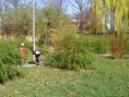 /album/hladanie-vajicok/p1010053-jpg/